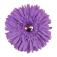 4.75" Spiky Daisy Hair Flower